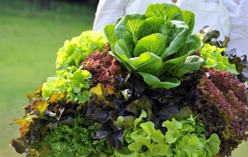 人体|心脏不好的人,多数与4个习惯有关,想健康,能改掉一个也好