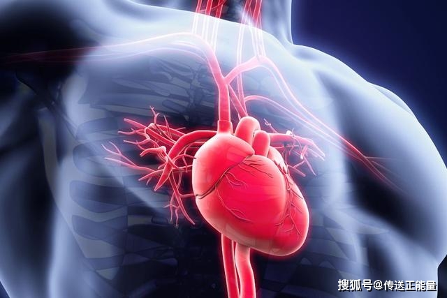 如何让心脏更好 bc52d9ef12b64a60b641a4efd87db2fa.jpeg