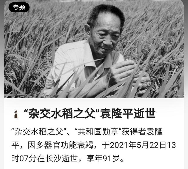 江映蓉 张嘉元 包文婧发文追悼袁隆平 却因错别字翻车2 明星
