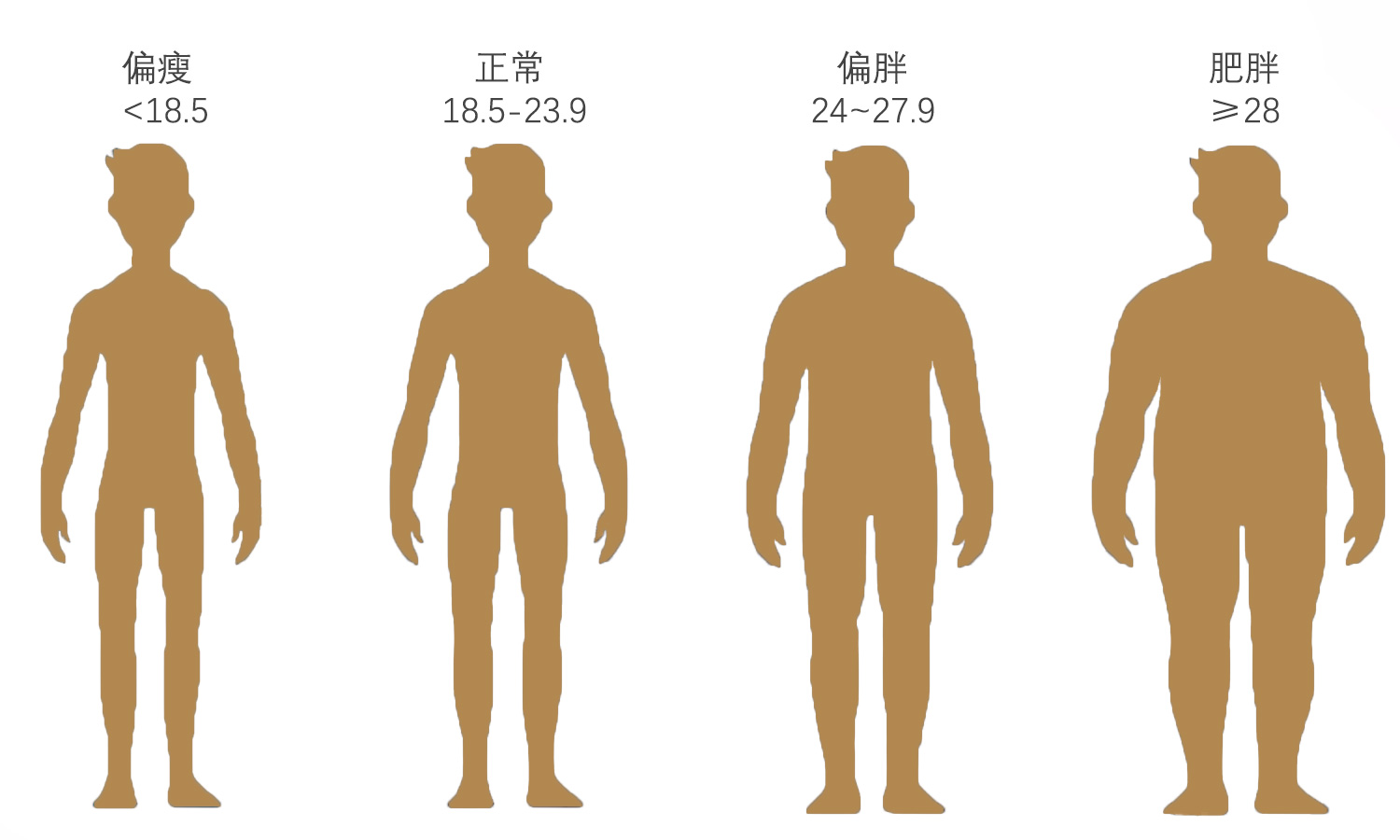 男生身材类型分类图片