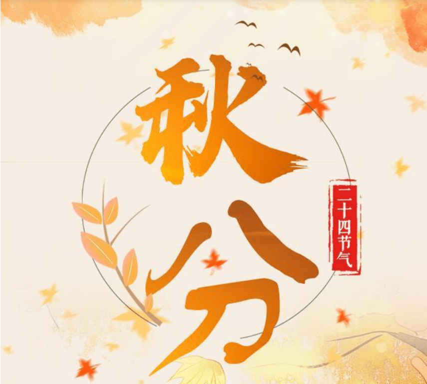 147ce5c87a634cdab8a6235d848db8ec.png