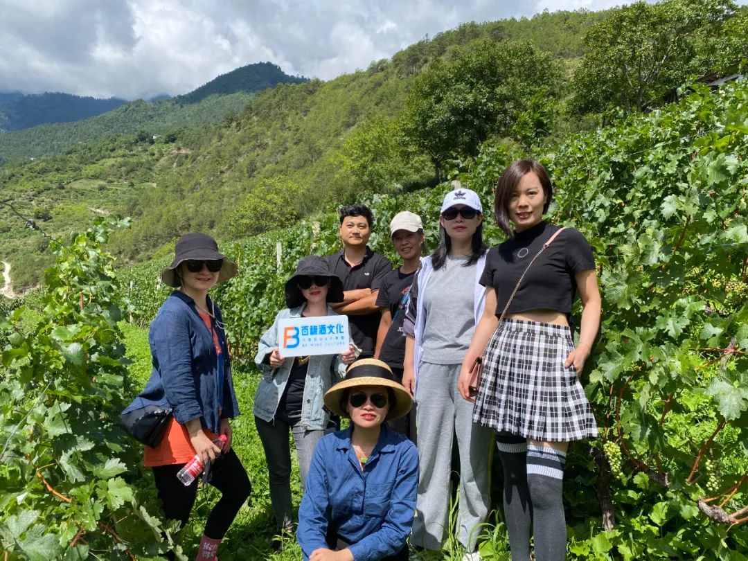 Wine|百馥访谈|前四大会计师事务所税务合伙人安洁，香格里拉葡萄酒产区研学感受