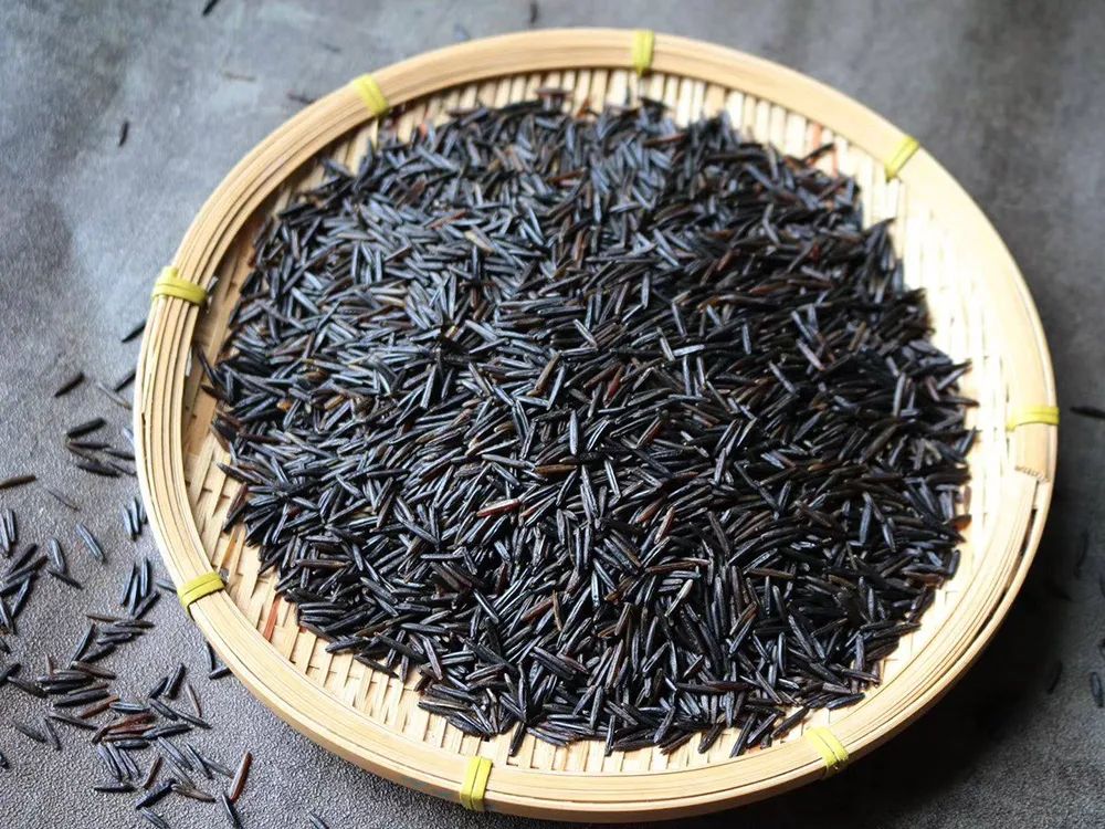 虽然不能开花结实,但嫩茎却会因为真菌的寄生,变得粗大肥嫩类似竹笋