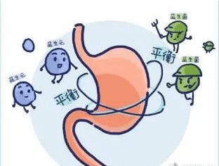 什么食物能中和胃酸 6e4926df1a494e72859c14f525eab481.png