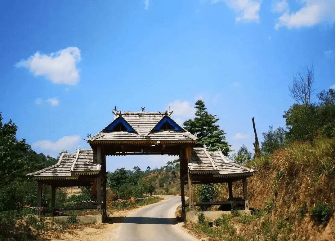 世外有高人遗世而独立品曼糯勐海第一香