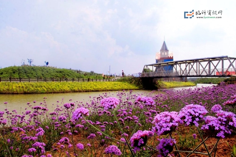 山东鑫智汇文旅托管运营邹城康王谷花世界景区