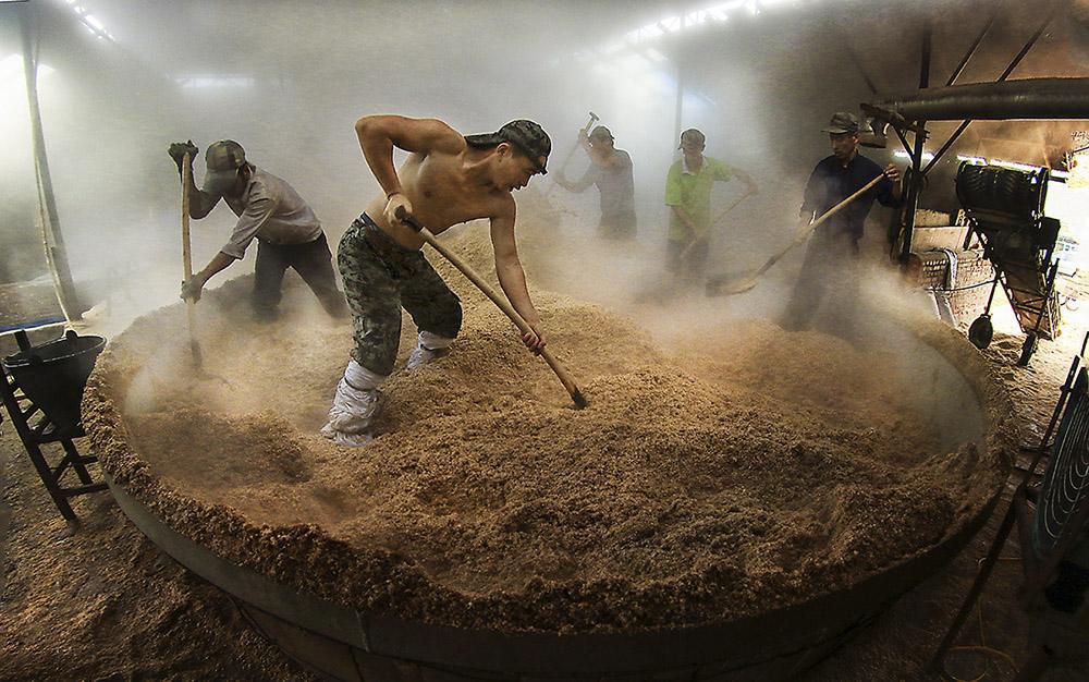 想用酿酒设备酿出高品质固态酒要注意的3个要点
