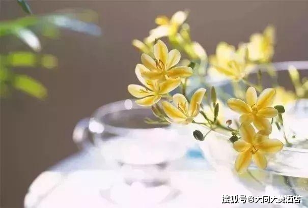 0e188a6606114961894ad67eb0c12e87.jpeg