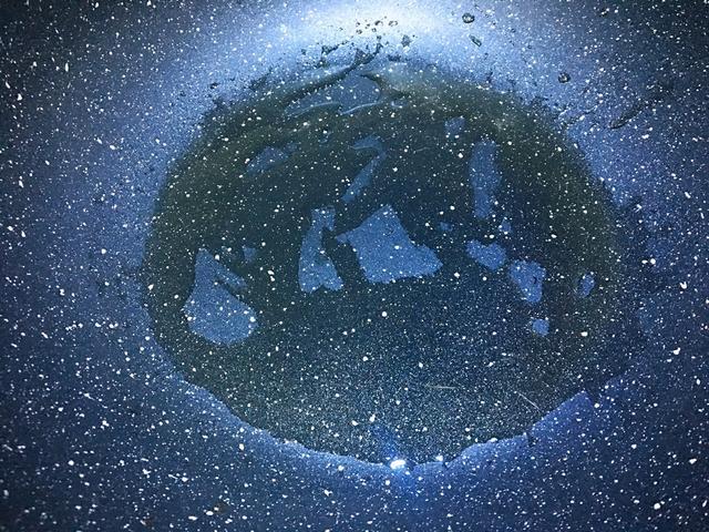 煎饼|早餐吃蔬菜蛋饼,营养又省时,几分钟搞定,再也不担心吃不上早餐