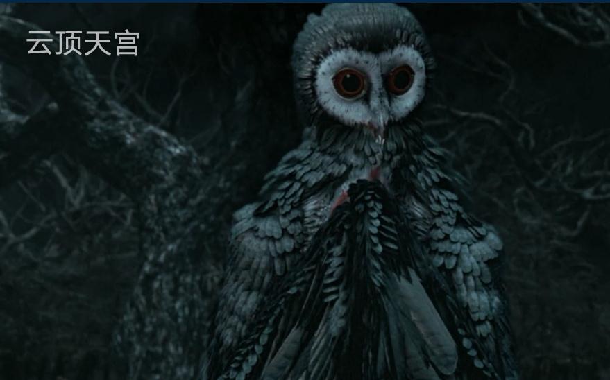 官宣|真的来了,《云顶天宫》官宣定档,铁三角集结拯救剧荒!