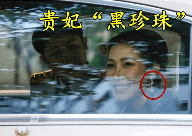 耳坠 诗妮娜又穿高贵紫，印花裙配黑珍珠耳坠彰显贵气，却无资格坐御车