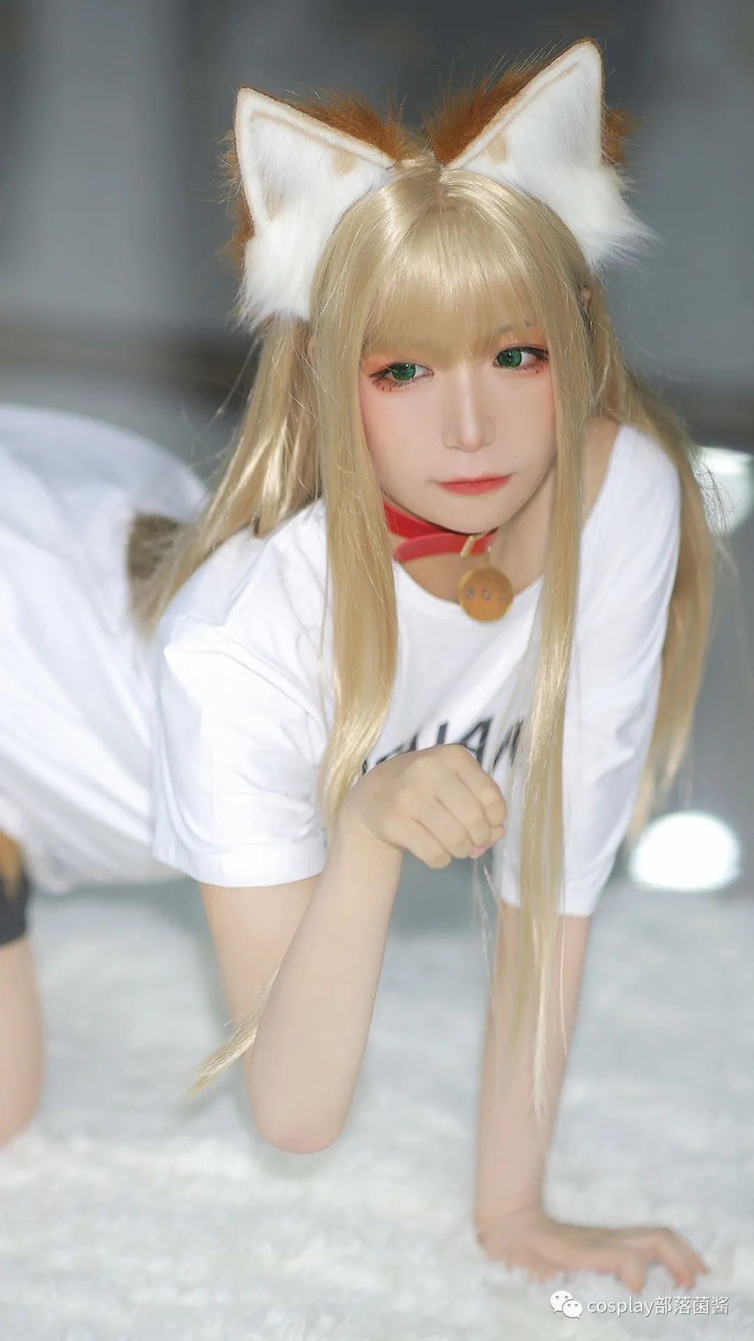 cos:40原黄豆粉猫娘场照@赤瞳-搜狐大视野-搜狐新闻