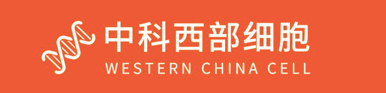 实验|中科西部干细胞研究院：干细胞治疗有望破局 肺纤维化