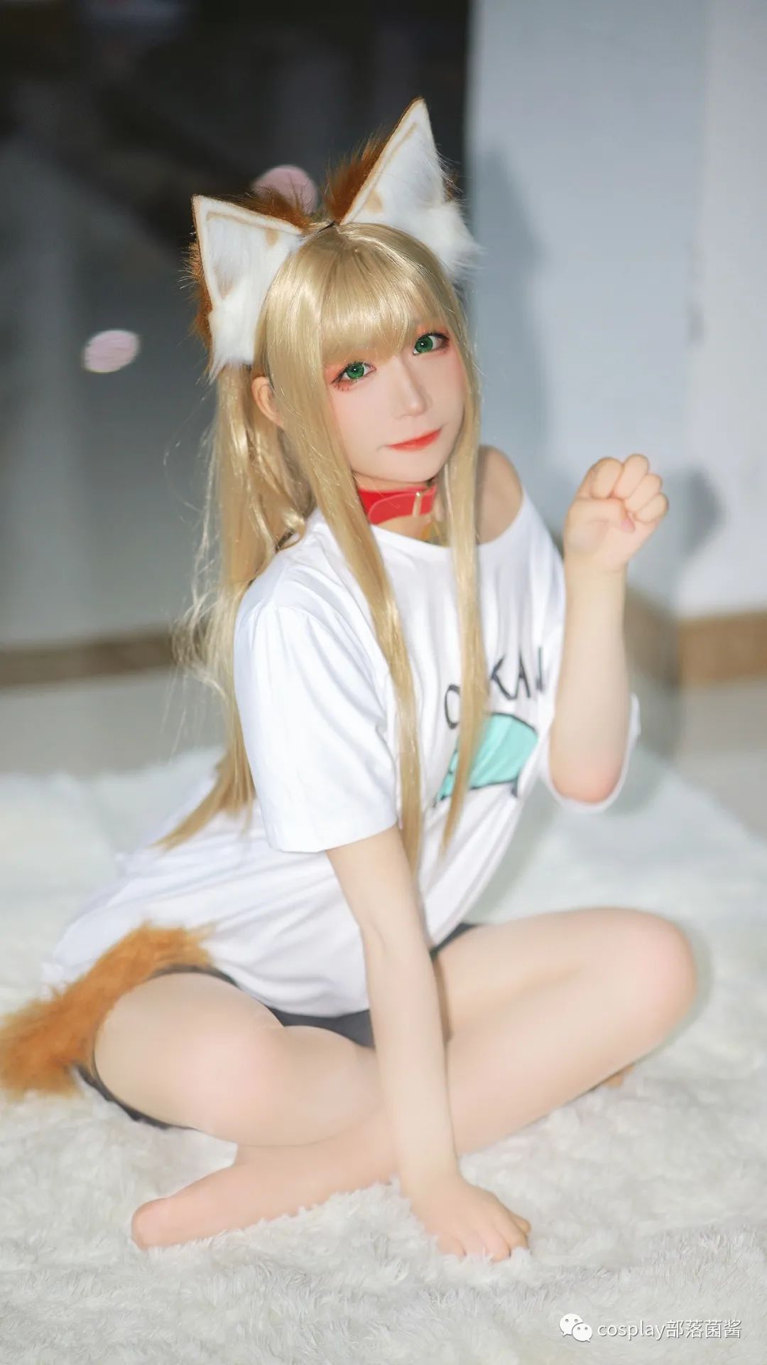 cos:40原黄豆粉猫娘场照@赤瞳-搜狐大视野-搜狐新闻