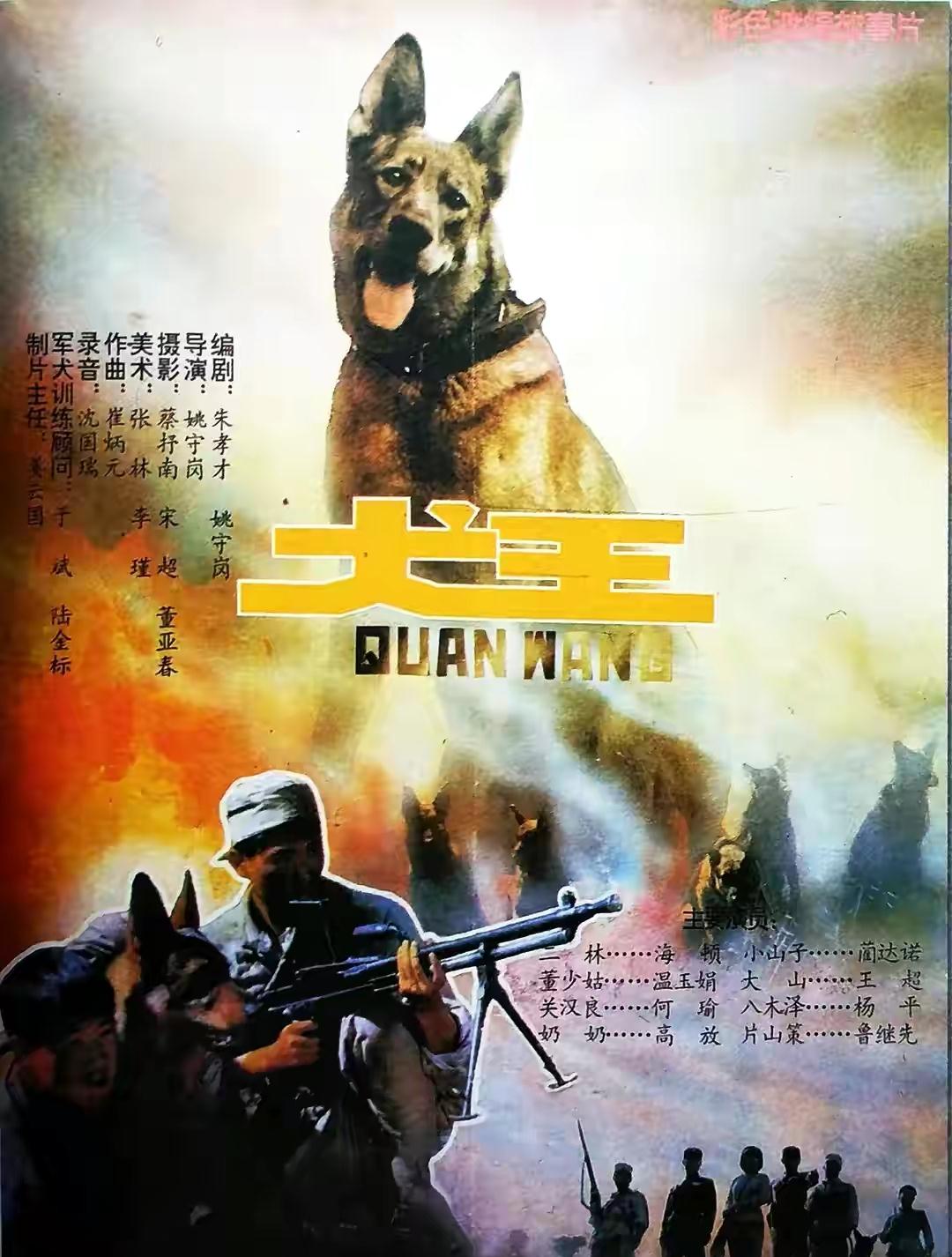 因为|2464人要求“炸死”导演,为了效果炸死军勋犬的姚守岗,被骂了