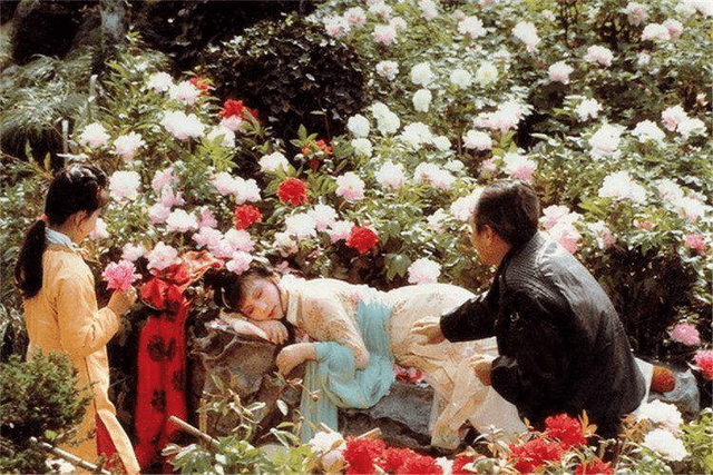 87版红楼梦幕后的18个罕见故事宝玉整容惜春加戏宝钗被车撞