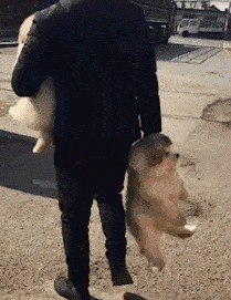 搞笑GIF：如何優雅而不失風度地撩妹 搞笑整蠱 第17张