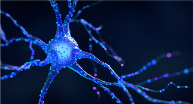 血液|血糖“清洁剂”找到，不是洋葱！这种“零食”紧着吃，高血糖或会降低