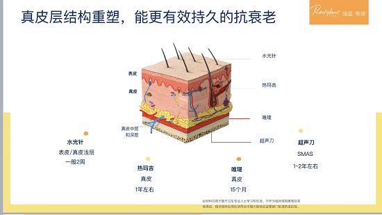 瑞蓝双孖医疗王培蕾|高德美研习社广州站，如何实现蜜桃肌?