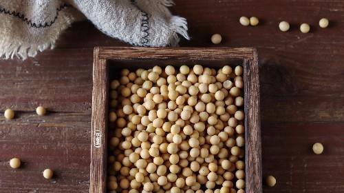 加入适量|黄豆营养好，这么做成早餐，人人爱喝，还能提升免疫力补充蛋白质