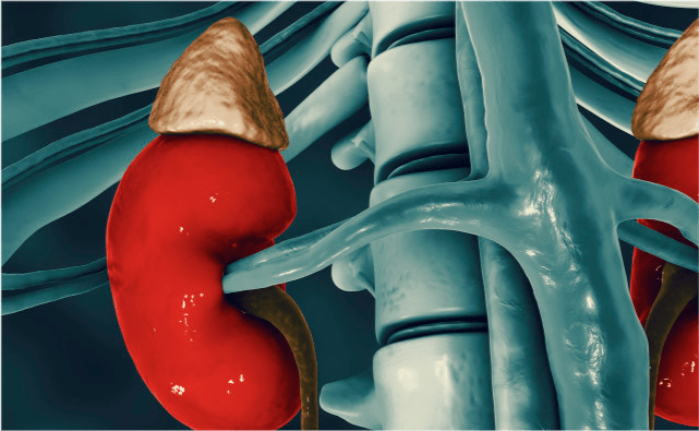 血液|血糖“清洁剂”找到，不是洋葱！这种“零食”紧着吃，高血糖或会降低