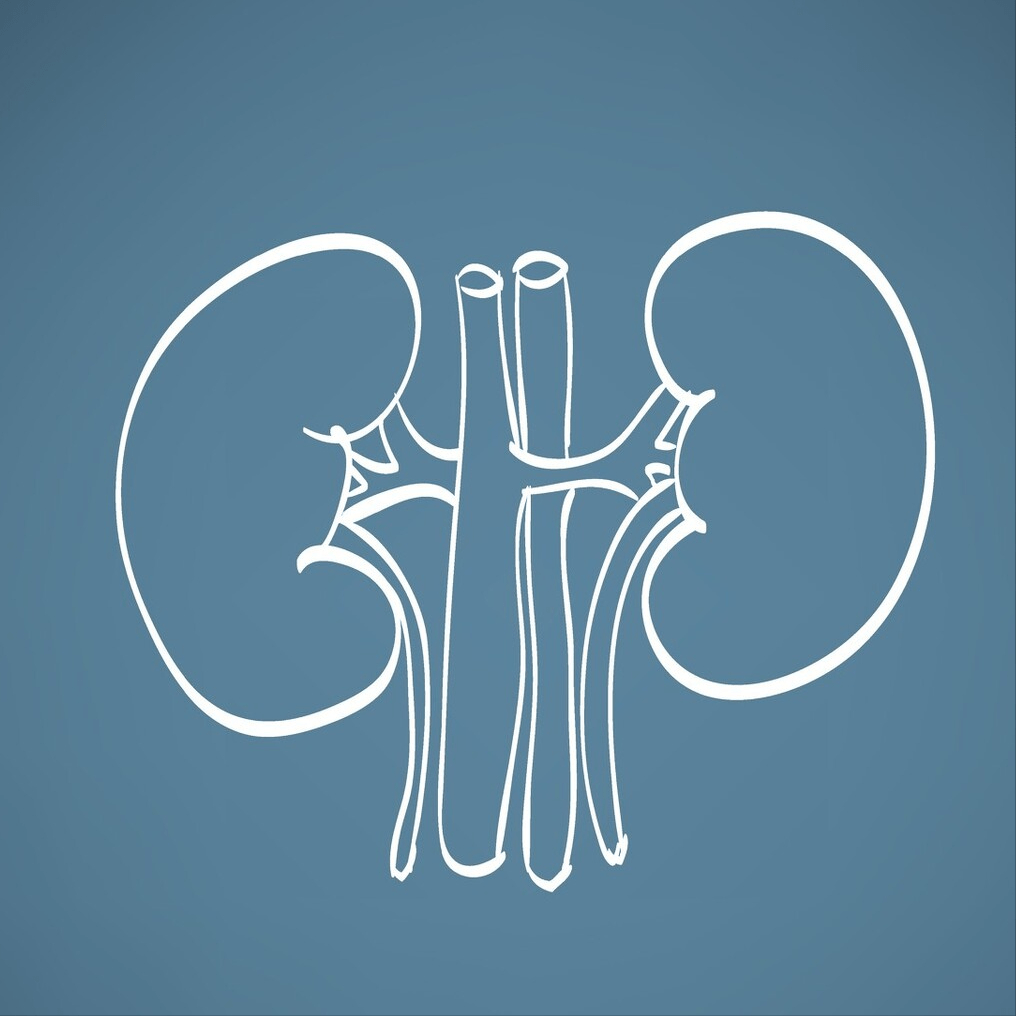 治疗|新药非奈利酮获批上市！糖尿病肾病有了新选择，不仅保肾还能护心