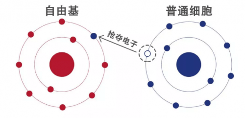 机制祛颈纹、黑眼圈、泪沟，嗨体“三剑客”为何如此神奇？