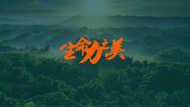 高格高格丽特 原生之美