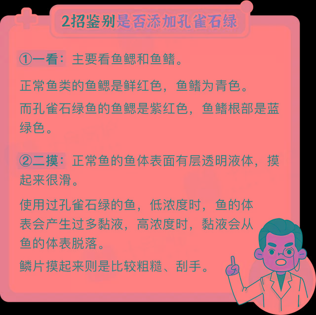 甲醛|老公买的这种鱼，差点害老婆流产！医生怒斥：你怎么敢买它