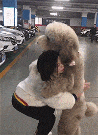 搞笑GIF：如何優雅而不失風度地撩妹 搞笑整蠱 第18张
