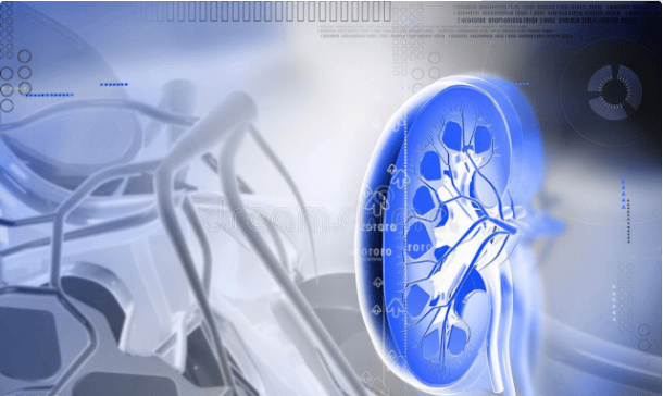 水平|蛋白尿最多的3类肾病，预后怎么样？如何防治？最全解读