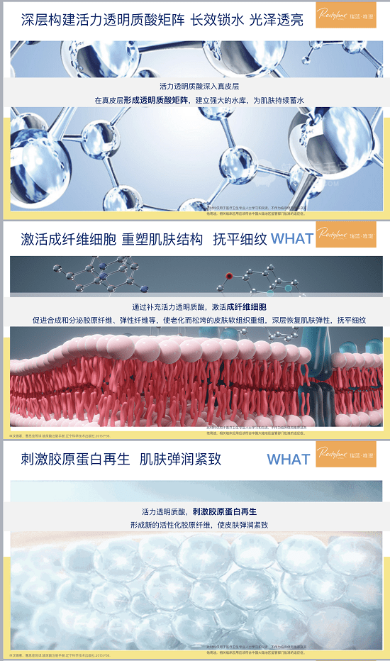 瑞蓝双孖医疗王培蕾|高德美研习社广州站，如何实现蜜桃肌?