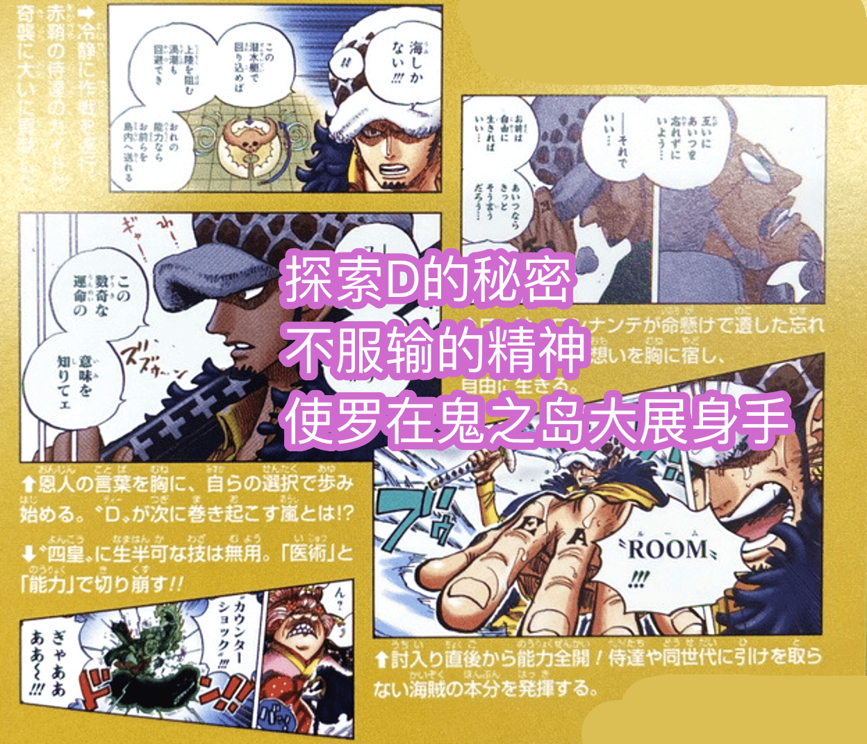 草帽|海贼王官方情报，罗探索“D之一族”秘密，知晓真相的他，会死亡