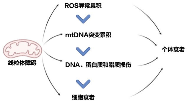 哈佛科學家