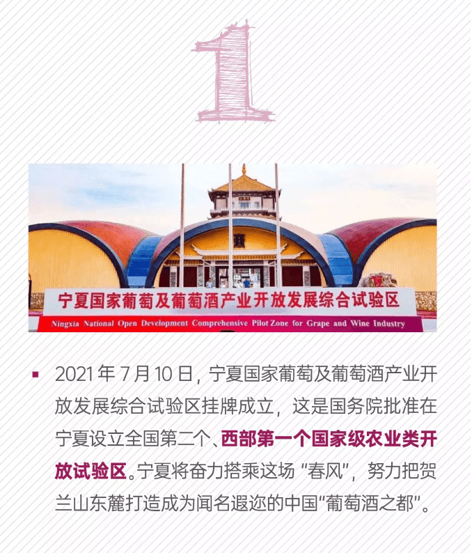 成长|宁夏葡萄酒的数字成长记！
