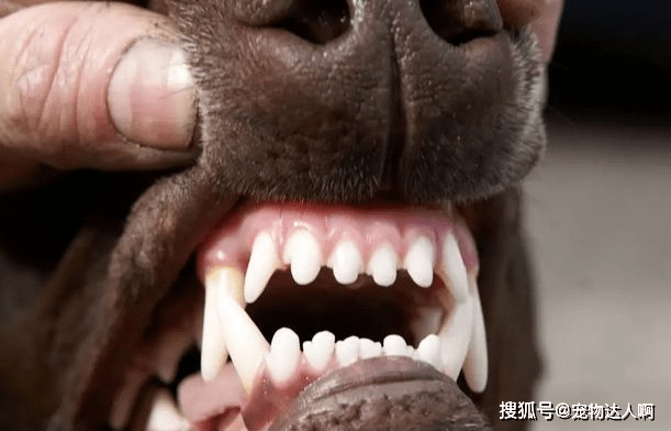 6c1a9c69fdf34fdba1a608fe583070eb.png