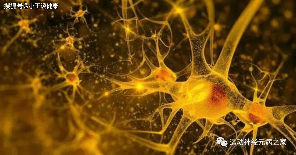 治疗|运动神经元病治疗4