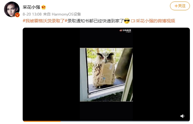 玩家|《哈利波特：魔法觉醒》是怎么做社交的：无时无刻，无处不在