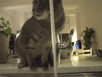 搞笑GIF：真有點不敢相信 現在的衣服都這樣穿嗎？ 搞笑整蠱 第12张