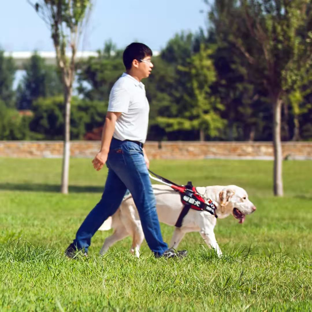 盲人带导盲犬入住酒店遭拒,珠海长隆酒店致歉:培训不力,已致歉