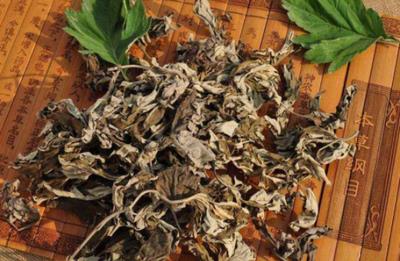 洗头青岛一女子，经常用艾叶煮水洗头，3个月后，她得到了什么？