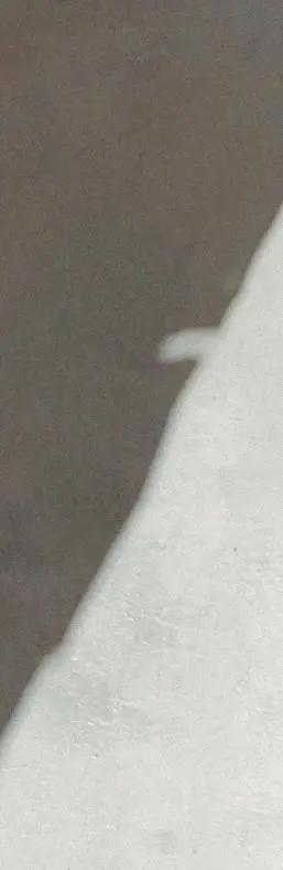 成都 为什么这家New Balance这么酷？