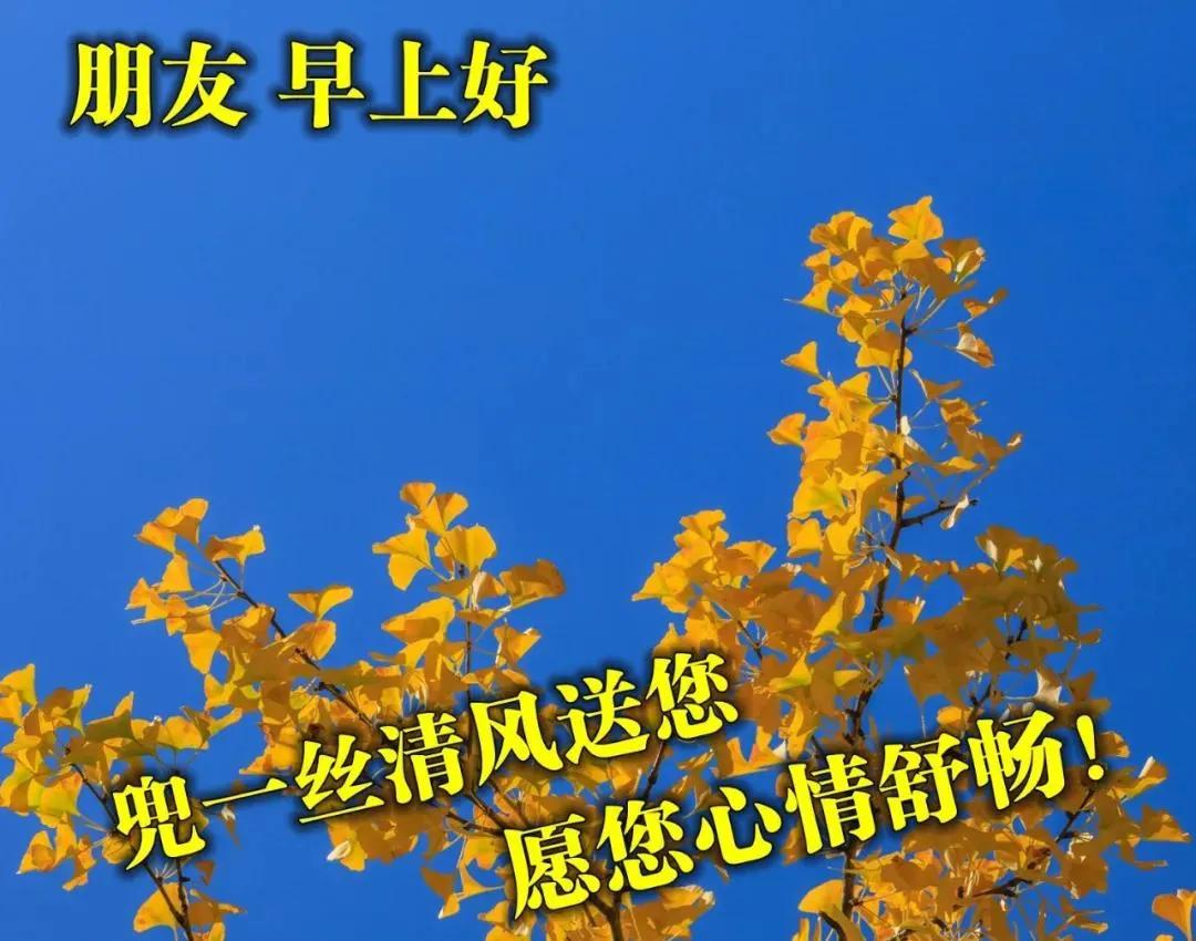 原創8張漂亮秋天風景早安圖片帶字帶祝福語好看的秋日風景早上好問候