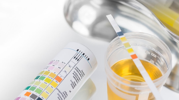 治疗|肾病被耽误了是什么意思?两种情况让人感到惋惜