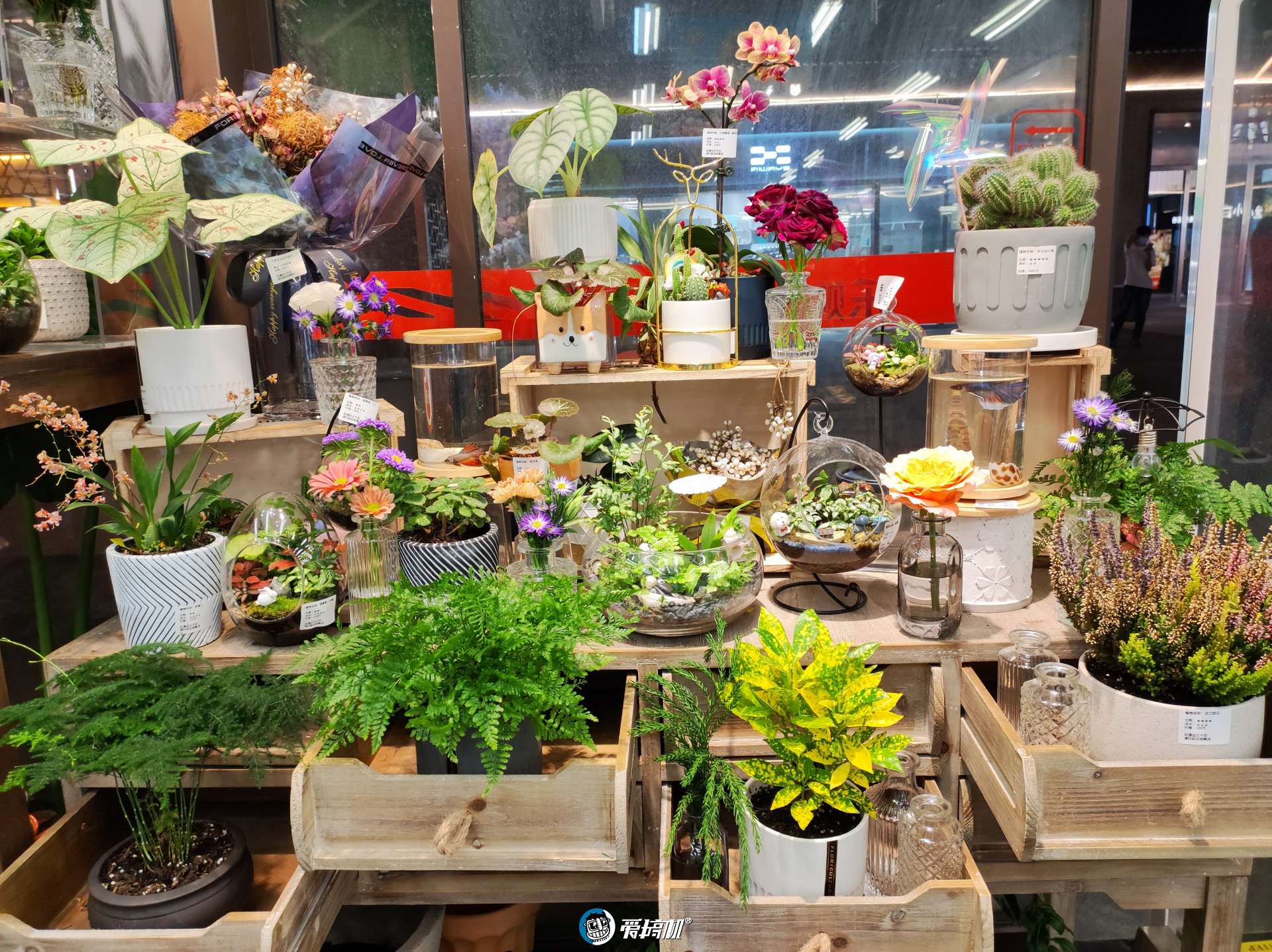 nit|小米Civi评测：我差点就恋爱了