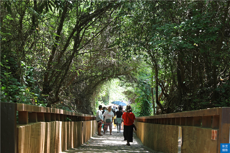 海蚀|国庆小众旅行地：五彩滩堪称中国“天下第一滩”，秋天景色更美丽