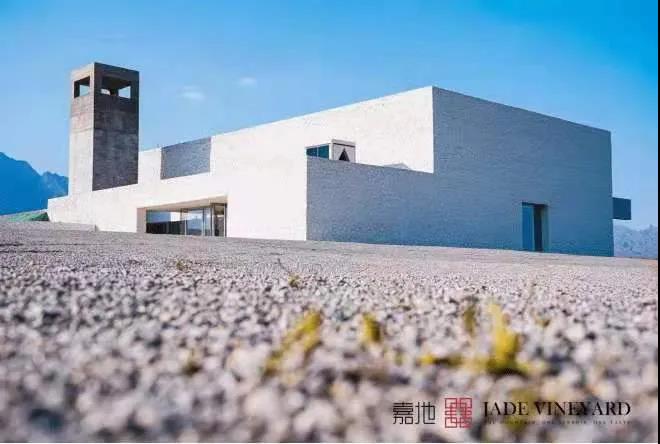 二级|2021宁夏贺兰山东麓列级酒庄诞生,多位葡萄酒大咖如是说……