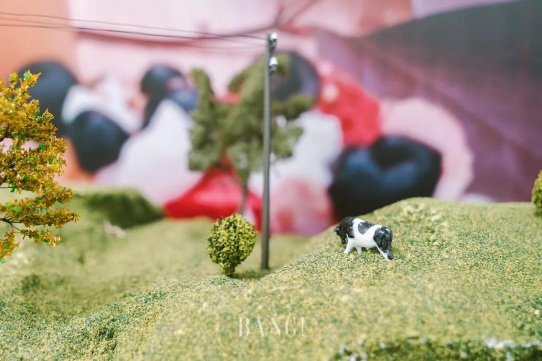 Pop-up|新葉新生！Cargill Pop-up Store掀起綠色健康生活新潮流！