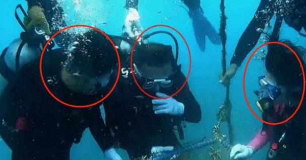 上衣|尼格买提调侃王冰冰头大身子小像门铃，王冰冰：莫名其妙