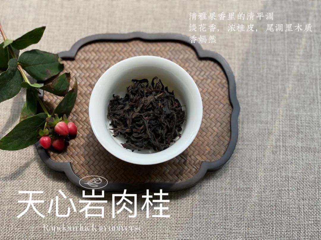 天心岩肉桂,果香与花香的组合,一个武夷山异类制茶师的倾心之作
